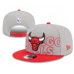 Chicago Bulls Snapback Cap 006