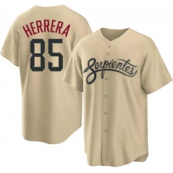 Men Arizona Diamondbacks Jose Herrera Nike 2021 City Connect Authentic MLB Jersey Gold