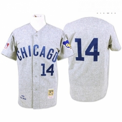 Mens Mitchell and Ness Chicago Cubs 14 Ernie Banks Authentic Grey Throwback MLB Jersey