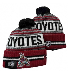 Arizona Coyotes Beanies 002