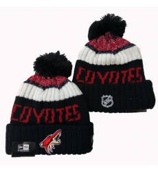 New York Islanders Beanies Cap 25G001